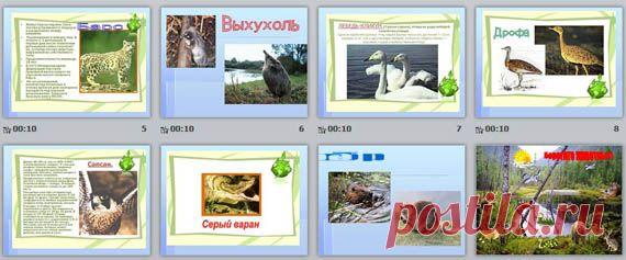 Животные Красной книги Казахстана | Начальные классы