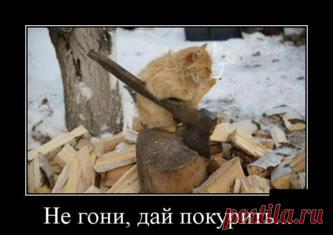 Демотиваторы на 5.10.2015г (30 фото) | Чёрт побери