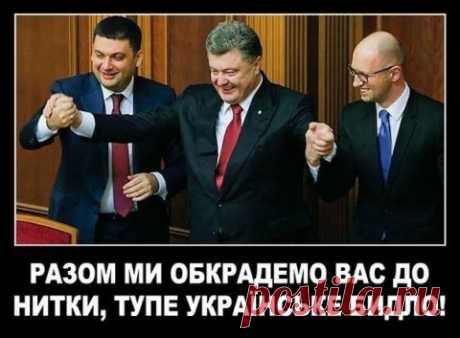 «Во, бля, дает! И ни стыда, ни совести»