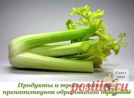Какие продукты и травы помогают разжижению крови, препятствуют образованию тромбов?... ОЧЕНЬ ПОЛЕЗНО...

Многие думают, что существуют какие – то сложные методики или системы, для того, чтоб это делать.

Однако, я хочу Вас заверить в том, что все намного проще, чем Вам может показаться на первый взгляд. Сейчас мы будем говорить о питании, так как именно благодаря правильно сформированному рациону возможно решить проблему того, чем разжижать кровь.

Ну, а если вдруг Вам пок...