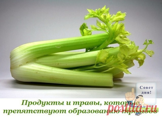 Какие продукты и травы помогают разжижению крови, препятствуют образованию тромбов?... ОЧЕНЬ ПОЛЕЗНО...

Многие думают, что существуют какие – то сложные методики или системы, для того, чтоб это делать.

Однако, я хочу Вас заверить в том, что все намного проще, чем Вам может показаться на первый взгляд. Сейчас мы будем говорить о питании, так как именно благодаря правильно сформированному рациону возможно решить проблему того, чем разжижать кровь.

Ну, а если вдруг Вам пок...