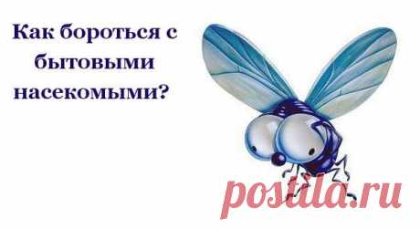 Как бороться с бытовыми насекомыми | Страна Полезных Советов