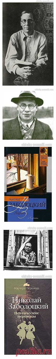 Библиографический ресурс «Чтобы помнили». Заболоцкий Николай Алексеевич