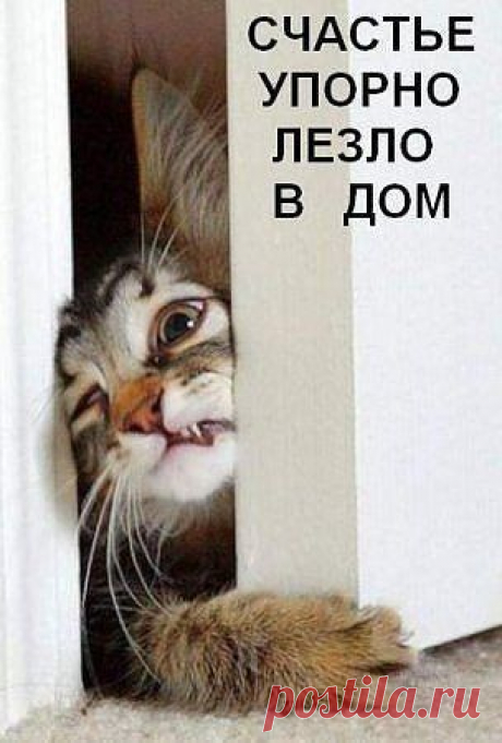 Интересные новости