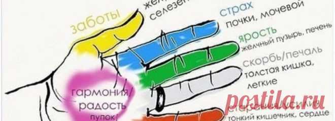 Каждый палец руки связан с 2 органами: исцели себя сам | Волковыск.BY