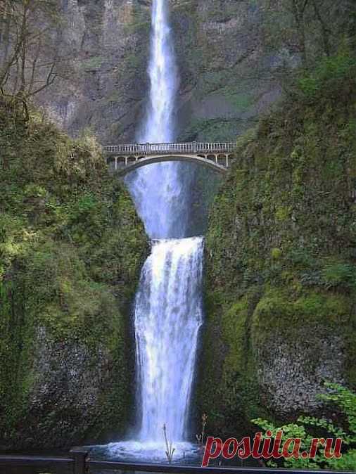 26 марта 2014 г.