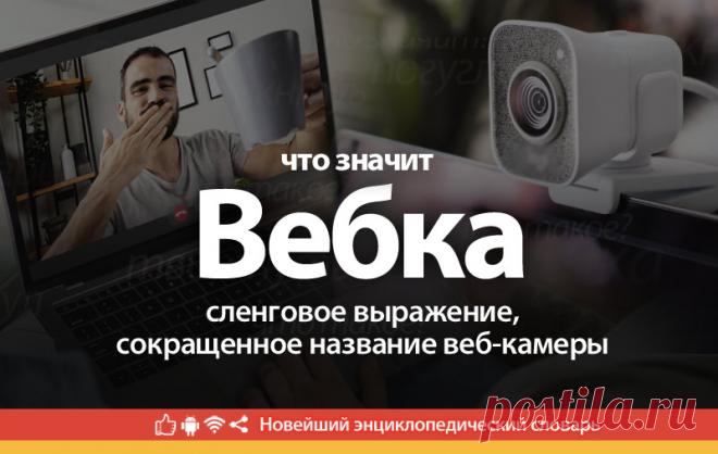 Вебка что это, что значит Вебка
