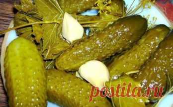 Вкуснейшие хрустящие огурцы – такой рецепт вижу впервые, но уже попробовала - Полезные советы