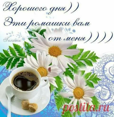 (4) Зина Таирова - Добрый день друзья ФБ