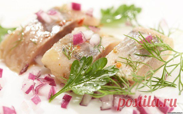 Маринады для сельди: 6 видов вкусных маринадов