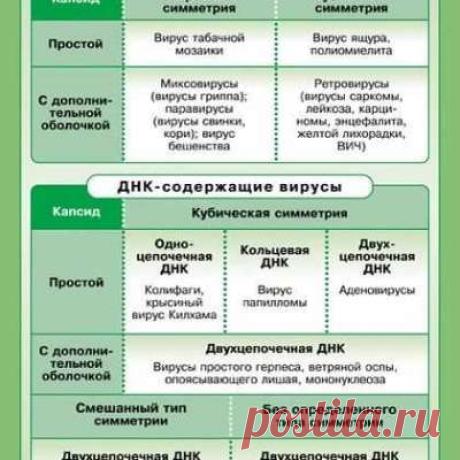 Учитель биологии!