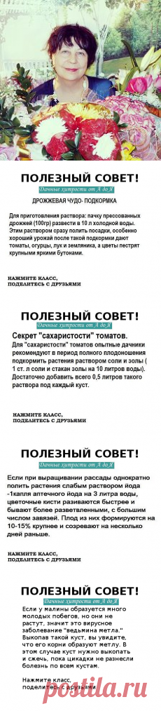 Нина Крупица(Волошина) - Заметки | OK.RU
