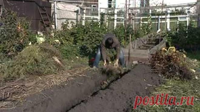 Теплые грядки