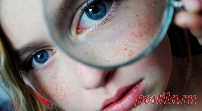 Психические процессы: объем, динамика, система | Вестник антиклеветы Системно-векторной психологии Юрия Бурлана