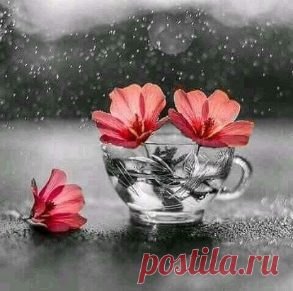 ....Забывайте  обиды..... Но никогда не забывайте доброту...