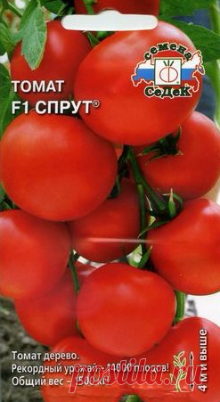 Томат Спрут: отзывы, фото, урожайность | tomatland.ru