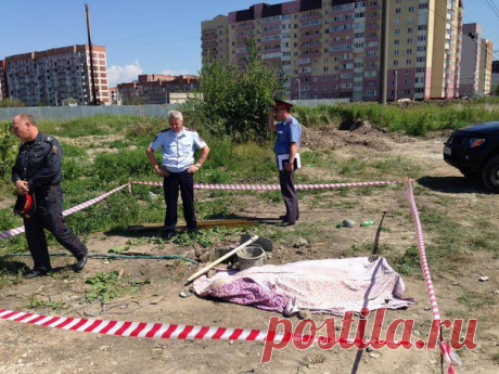 Новости
