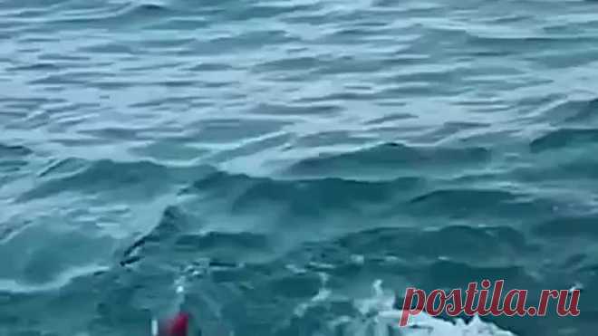 Как прекрасен этот мир.)))