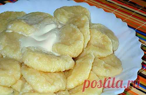 Ленивые вареники — Сад Заготовка