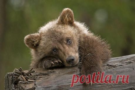 Мой Мир@Mail.Ru