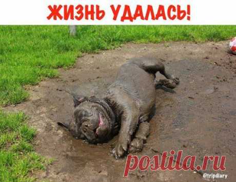 Одноклассники