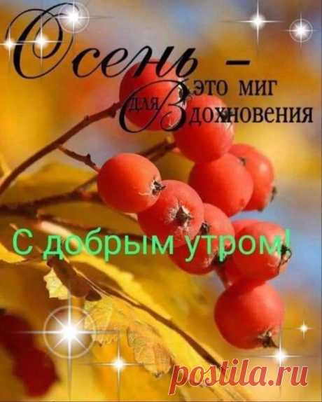С добрым утром осень.  осенний миг для вдохновения.  ягоды рябины