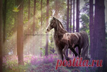 Фото Вороной конь с длинной гривой и хвостом стоит в воде на фоне космоса, автор impassioned-dreams, страница