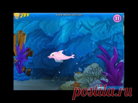 Дельфинарий.Трюки дельфинов - YouTube