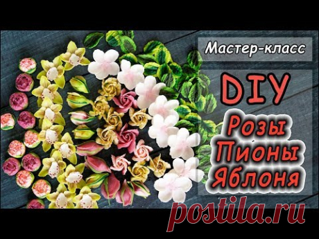 DIY ❤ РОЗЫ ❤ ПИОНЫ ❤ ЦВЕТЫ ЯБЛОНИ из полимерной глины ❤ Лепка мастер-классы