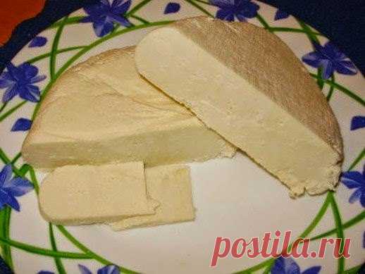 Рецепт приготовления домашнего сыра. Этот сыр по вкусу как Адыгейский или брынза. 
Берём 3 литра молока - ставим на огонь, что бы закипело, посолить приблизительно 1- ст. ложки соли (по вкусу). 1 литр кефира, 4 яйца взбиваем и вливаем в кипящее молоко. держим всё это на огне пока сыр начнёт всплывать наверх и сбиваться в комочки, после всплытия держим ещё минут 5. Затем сливаем на марлю и даём стечь часа 2,5 - 3. Ставим под пресс, я оставила на ночь, а утром уже ели.