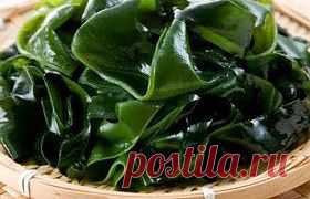 Ооочень полезные свойства морской капусты!