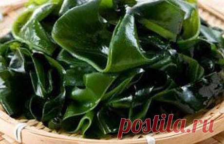 Ооочень полезные свойства морской капусты!