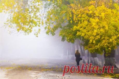 Фото Без названия. Альбом ""ЛЕДИ ОСЕНЬ"" - 39 фото. Фотографии Касана А.