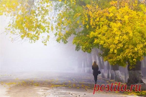 Фото Без названия. Альбом 