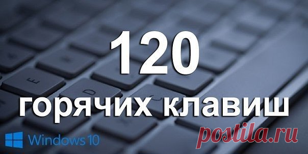 120 горячих клавиш
●Операционная система Windows
Ctrl+C — копировать. Для того чтобы увидеть содержание буфера обмена в MS Office, нажми Ctrl+C дважды.
Ctrl+N — создать новый документ.
Ctrl+O — открыть.
Ctrl+S — сохранить.
Ctrl+V — вставить.
Ctrl+W — закрыть окно.
Ctrl+X — вырезать.
Ctrl+Y — повторить отмененное действие.
Ctrl+Z — отменить последнее изменение.
Ctrl+Home — переместиться в начало документа.
Ctrl+End — переместиться в конец.
Windows+E — запустить Проводник Windows (Explorer).
Win