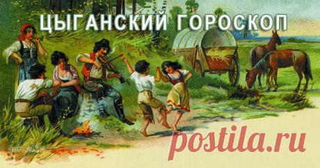 (54) Одноклассники