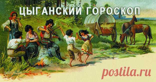 (54) Одноклассники