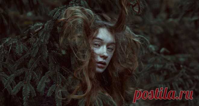 Какое вы дерево по кельтскому гороскопу? Вот что это для вас значит