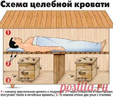 ИСЦЕЛЯЮЩИЙ СОН НА ПЧЁЛАХ 

За десять лет столь необычного отдыха семья сумского художника и пасечника излечилась от всех болезней! 
Невероятно, но уже десять лет сумской художник Николай Яровой, его жена и двое сыновей спят на… ульях с пчелами! За это время у них исчезли хронические заболевания и повысилась работоспособность.
Показать полностью…