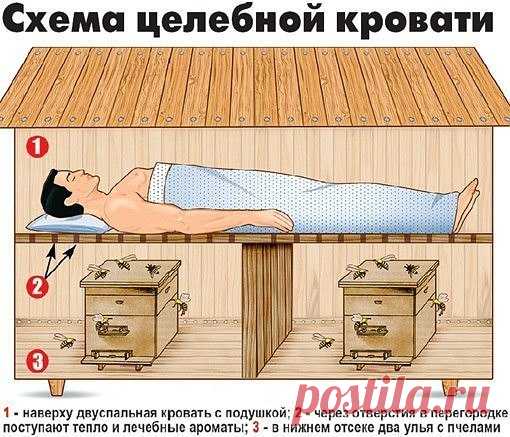 ИСЦЕЛЯЮЩИЙ СОН НА ПЧЁЛАХ 

За десять лет столь необычного отдыха семья сумского художника и пасечника излечилась от всех болезней! 
Невероятно, но уже десять лет сумской художник Николай Яровой, его жена и двое сыновей спят на… ульях с пчелами! За это время у них исчезли хронические заболевания и повысилась работоспособность.
Показать полностью…