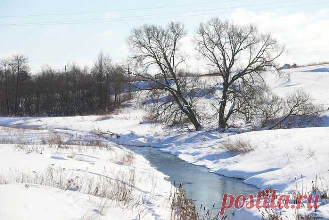 Лунный посевной календарь на март 2019 для садоводов и огородников