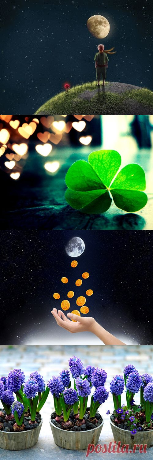 Полнолуние: лучшие обряды на деньги, удачу и любовь