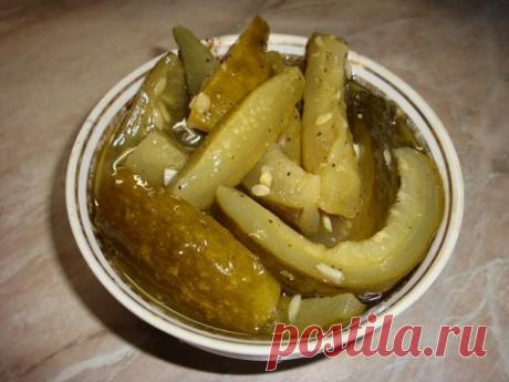 Блог сайта «Дачный участок»