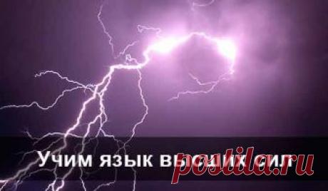 Учим язык высших сил... 
Высшие Силы с нами говорят постоянно. Вопрос только в том, чтобы услышать и понять их язык. 
Ведь все наши беды и несчастья — это уже крик Вселенной: «Стой! Ты не туда идешь! Ты свернул с безопасного…