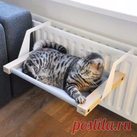 Теплое местечко для котика