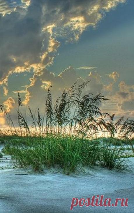 (192) Pinterest