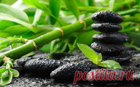 Лекарства, которые спасут МИР! - Интересный блог Проверено! 1: ГАРМОНИЯ Человек, который кидается в крайности, например, слишком много работает или слишком много ест, рано или поздно потеряет здоровье.