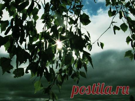 ФОТОМАСТЕРСКАЯ ПРИРОДЫ
Владимир Фефелов