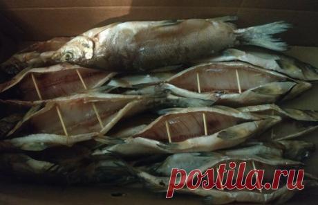 КАК ЛЮДИ НА СЕВЕРЕ СОЛЯТ РЫБУ. СЕКРЕТ ОТ СИБИРСКОГО СТАРОЖИЛЫ | Spinning-club.org | Яндекс Дзен