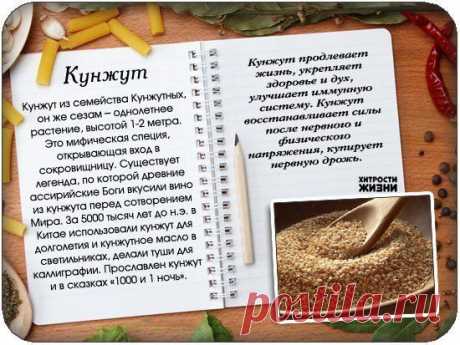 Ирина Зеленова